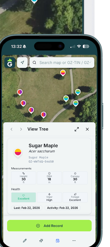 Groundzy on iPhone showing a tree on the map