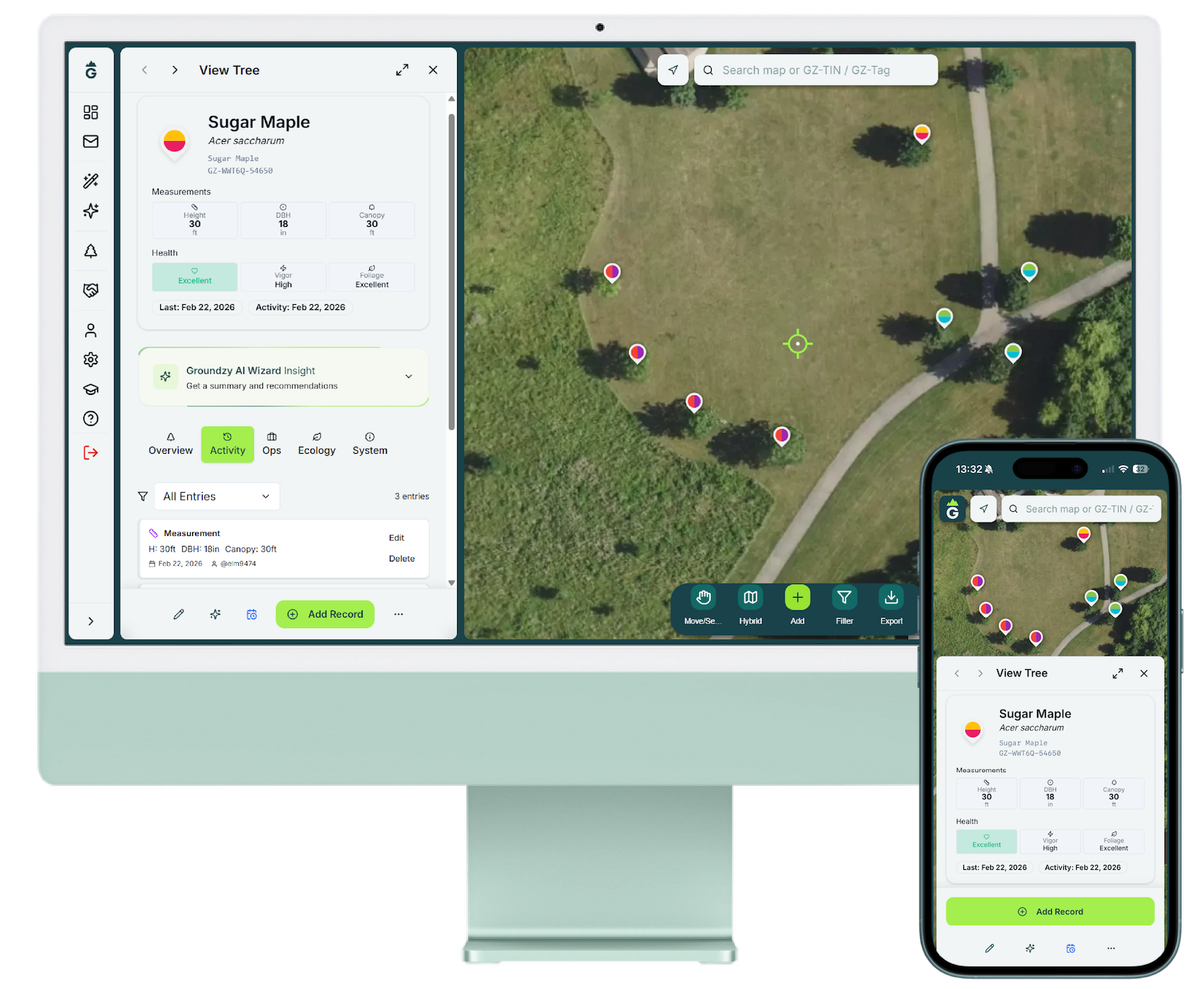 Groundzy on desktop and iPhone: map view with tree details